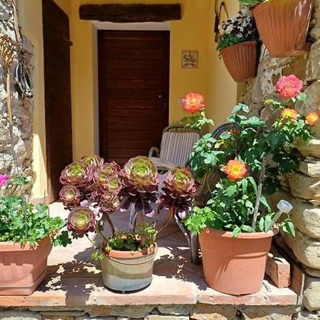 Casa Galla Ovada Exterior foto